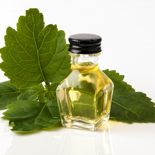 Эфирное масло Пачули  