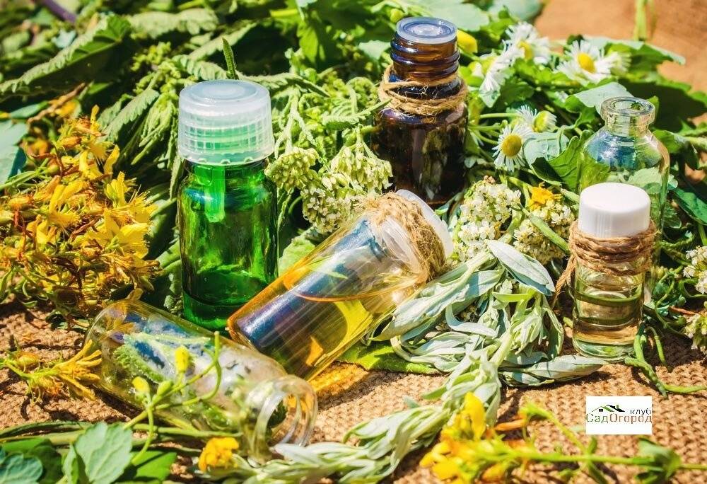 АКТИВНЫЕ КОМПОНЕНТЫ